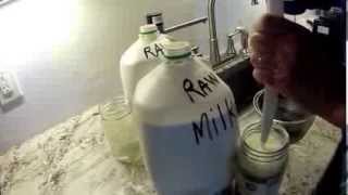 How to separate cream from raw milk [upl. by Htenek]