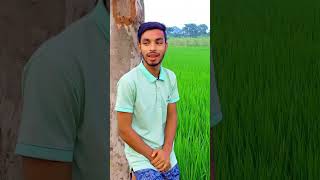 Keno Holo dekha re  কেনো হলো দেখা রে  SadSong  BanglaSong  Baulremix  AboddhoPakhi [upl. by Pederson]