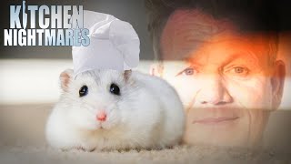 these chefs need a rat under their hat  Kitchen Nightmares [upl. by Ching131]