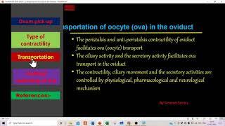 Oocyte Ova Transportation [upl. by Kerwinn]