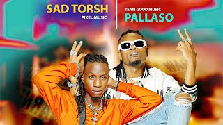 Pallaso  TEWEKOYA ft Sad Torsh [upl. by Alanson863]