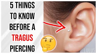 5 Things To Know Before Getting A Tragus Piercing 🤔 [upl. by Gunar71]