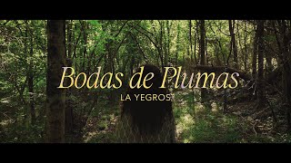 La Yegros  Bodas De Plumas Official Video [upl. by Graehme]