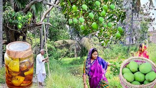 রোদে দেওয়ার ঝামেলা ছাড়া গাছ থেকে আম পেড়েই টক ঝাল মিষ্টি আচার বানালামmango pickle recipe [upl. by Jacquelin]