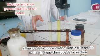 réaction entre les ions peroxodisulfate et iodure  influence de la concentration [upl. by O'Donovan]