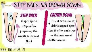 ENDODONTICS  STEP BACK VS CROWN DOWN TECHNIQUE  Biomechanical preparation [upl. by Ianaj]