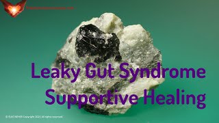 Leaky Gut Syndrome Supportive Frequency Healing  EnergyFrequency Healing Music [upl. by Nahtnahoj921]