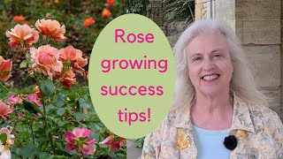 Growing roses  expert tips on choosing and caring for roses [upl. by Sacram]