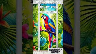 Use your voice and let your colors shine inspirational motivationalquotes motivation parrot [upl. by Nodgnal]