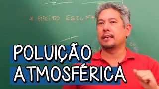 Poluição Atmosférica Efeito Estufa  Extensivo Biologia  Descomplica [upl. by Mannes]