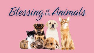 Blessing of Animals Service 2023 [upl. by Eilime]