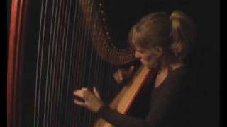 just passing byharp music harpist anne vanschothorst  harp and soul [upl. by Purity]