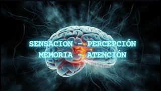 PSICOLOGIA Sensación  Percepción  Memoria  Atención [upl. by Beryle260]