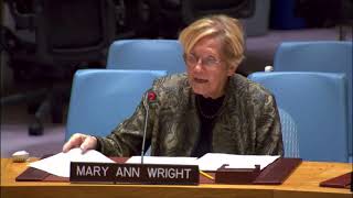 Former Army Colonel Ann Wright Condemns Israeli Weapons Sales at UN [upl. by Okir]