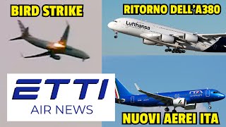 BIRD STRIKE SU 737 AMERICAN IL RITORNO DEGLI A380 ED I NUOVI AEREI ITA  ✈️🗞️ EttiAirNews [upl. by Malloch406]