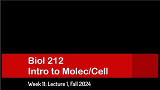 CSULB Biol 212 Fall 2024  Week 11 Lecture 1 [upl. by Siderf738]