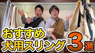 【おすすめ犬用スリング３選】愛犬とのお出かけに便利なスリングをペットショップ店員がご紹介！ [upl. by Oos]