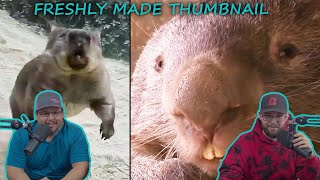 Americans React To Ozzy Man Reviews  Wombats  Australia [upl. by Lowell389]