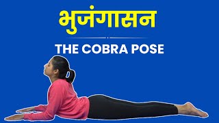 Bhujangasana Kaise Kare How to Bhujangasana Step by Step Correctly for Beginners [upl. by Isteb746]