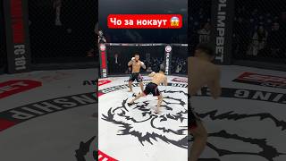 Зрелищный нокаут 😱 mma боец ufc бой мма бокс boxing нокаут sports юфс anime shorts [upl. by Panthia]