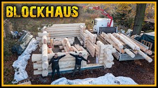 Unser Blockhaus  Stamm für Stamm geht es voran Part 2  Naturstammhaus Blockhütte Log Cabin [upl. by Ynottirb]