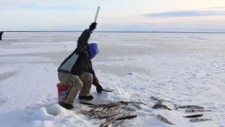 A Winter on the Kuskokwim [upl. by Nnaj]