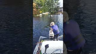 Boat Flip Fail fishingmethods fishing [upl. by Tavie322]