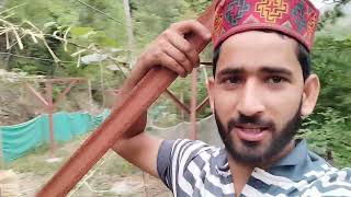 Kiwi Ke Plant Ko Kaise Sidha Krte Hai  Pahadi Lifestyle Vlog  Kiwi Farming  kiwi Cultivation [upl. by Kathe]