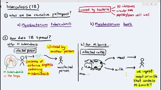 105 Tuberculosis Cambridge AS A Level Biology 9700 [upl. by Mich]