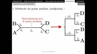 Bioinformatique  Chapitre 4  Phylogénie P1  Master Biotechnologie Alimentaire 2021 [upl. by Annawoj814]