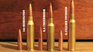 260 Remington vs 65 Creedmoor vs 65x55 Swede Which 65 Is Best For You [upl. by Itteb]