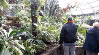 Botanischer Garten Berlin [upl. by Renzo]