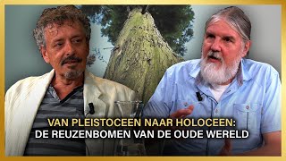 Van Pleistoceen naar Holoceen De Reuzenbomen van de Oude Wereld  Peter Toonen en Hans Scheffers [upl. by Akili]