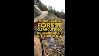 The Impacts of Forest Clearcutting on Microclimate amp Hydrology [upl. by Nomma233]