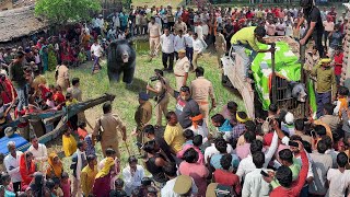 हैरतअंगेज कारनामा इस गांव में खूंखार जानवर का रेस्क्यू कैसे कियाDangerous Animal Rescue in Village [upl. by Ott]