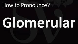 How to Pronounce Glomerular CORRECTLY [upl. by Greta]