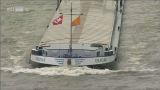 Doku Leben auf dem Fluss  Vom Rhein zur Donau HD [upl. by Azeret818]