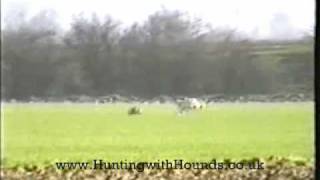 The Fen Fever Dogs 5th Feb Outing [upl. by Tsepmet137]