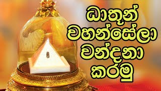 Dathu Wandanawa  ධාතූන්වහන්සේලා වන්දනා කරමු  The Buddhist [upl. by Primrose]