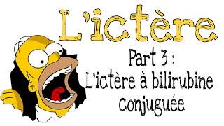 L’ictère de A à Z  Part 3  L’ictère à bilirubine conjuguée [upl. by Artemla]