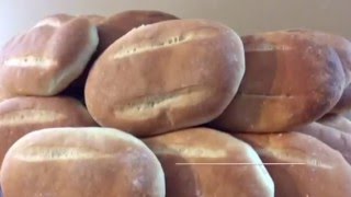 RECETA DE PAN BOLILLO DE SAL  economica y facil de preparar [upl. by Nnaeoj424]