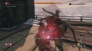 Sekiro  Genichiro Ashina Glitch [upl. by Fedak101]