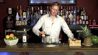 How to make a Gin and Tonic GampT Cocktail  Drink recipes from The One Minute Bartender [upl. by Ynatterb]