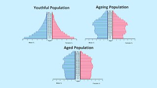 How to Read a Population Pyramid [upl. by Bugbee]