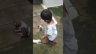 Sumanthan playing dog  dog doglover cutebaby kidsfun pets petlover [upl. by Gnol]