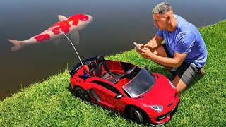 TOY LAMBORGHINI CATCHES COLORFUL FISH [upl. by Chapell]