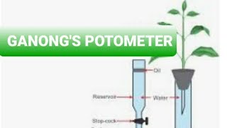 GANONGS POTOMETER [upl. by Yrdua]