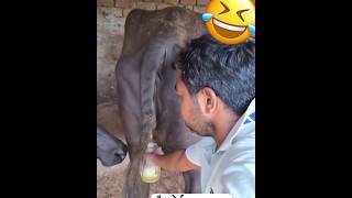 Indian goll gapa 🤣🤣🤣🤣 funny viralvideo funyycomedy AliRaza🤣🤣 [upl. by Mapel]