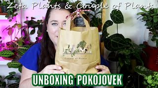 Malý unboxing pokojovek od českých prodejců [upl. by Beora]