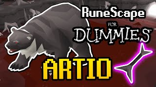 Artio EXTREMELY LOW RISK Guide 2024  LowMedHigh Level amp Budget Setup OSRS Runescape for Dummies [upl. by Assilanna]